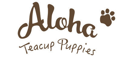 Aloha Teacup Puppies inc